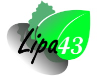 Lipa43